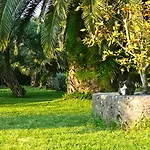 Hotel Nefeli Kommeno (Corfu)