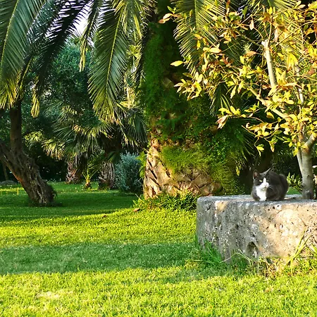Otel Nefeli Kommeno (Corfu)