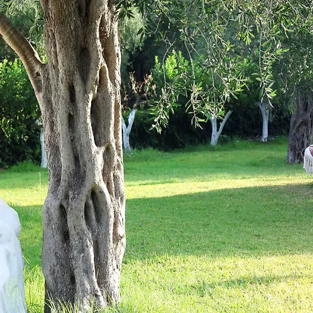 Nefeli Hotel Kommeno (Corfu)